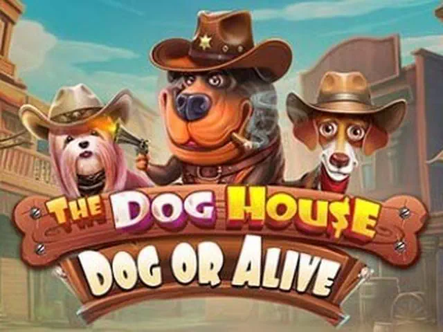 The Dog House Dog Or Alive